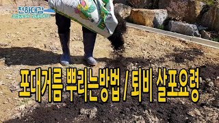 밑거름 포대거름 뿌리는법 퇴비살포방법 밭만들기
