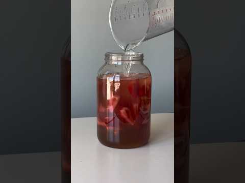 MAKING HOMEMADE STRAWBERRY WINE
