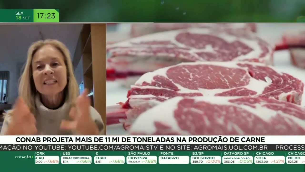 Conab projeta mais de 11 mi de toneladas na produção de carne
