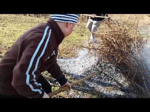 Jaro dělá pokusy, vinohrad pod Kněží horou ve Bzenci, 4. 3. 2017