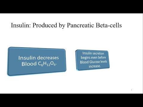 About Insulin and Epinephrine!