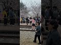 Musim Semi Korea Selatan