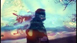 The Lilys- Overlit Canyon (The Obscured Wingtip Memoir)