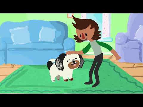 About Sean Casey Animal Rescue