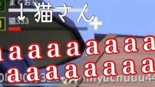 倒されないで猫さん！！！？？