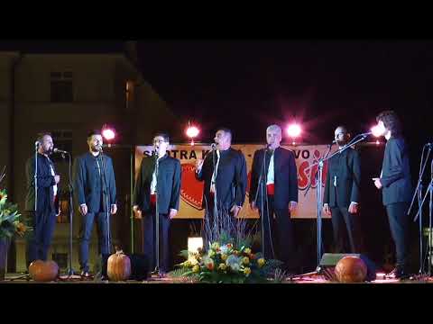 Klapa Bratovština - U poju se mala