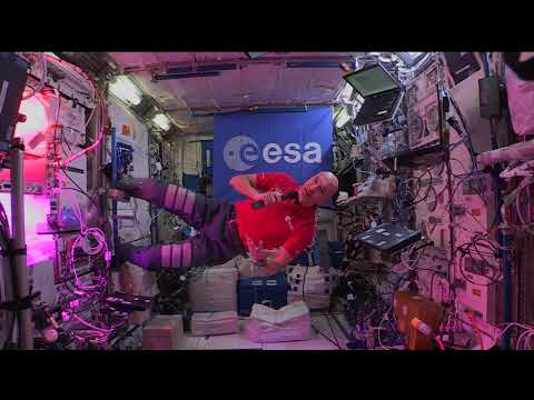 Expedition 61 Commander Luca Parmitano Speaks with European Universities - October 8, 2019