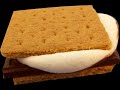 Barney S Mores Song