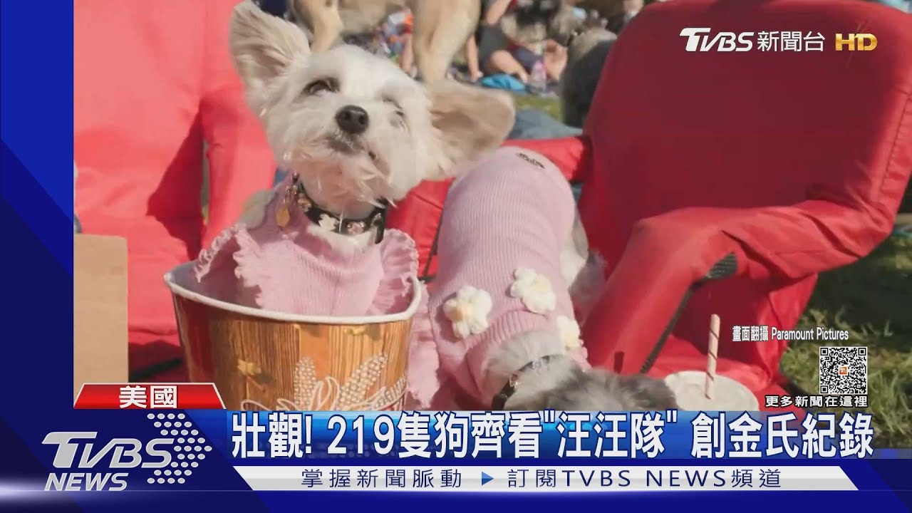 兒童英雄《汪汪隊立大功》219隻狗一起坐著看創金氏紀錄
