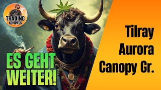 Cannabis-Aktien steigen wieder! Canopy Growth, Tilray, Aurora | Technische Analyse & Preisziele