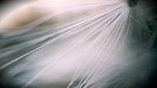 Cinematic Ambient Electronica | Contemplation act.2 | A Cinematic Odyssey - I Hate Robots #liveset