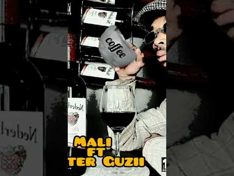 Master Guzii , Mali ft Cevin fisher.