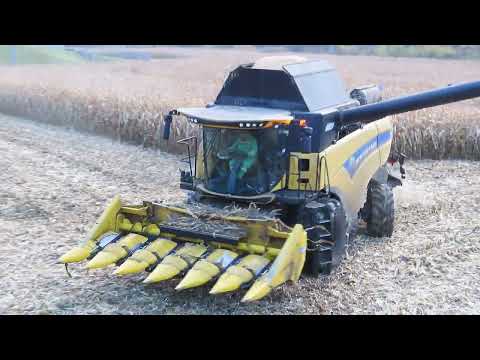 Sklizeň kukuřice na zrno! 2 akce, družstvo + soukromník. Krásná práce! #NewHolland #Zetor #JohnDeere