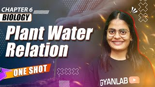 One Shot Lecture | Chp - 6 | Plant Water Relation | Gyanlab | Anjali Patel #oneshotlecture