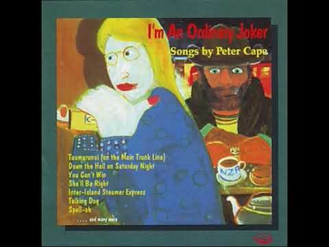 You Can't Win - Peter Cape