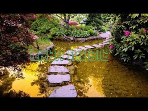 MAISSA X JACKSIDE X YELS - Poison mortel