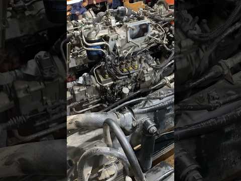 HINO Engine overhaul #Hard starting #mechaniclife #shorts #foryou #shortsvideo #hino #trucking #vlog