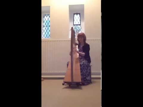 Lord Of The Dance - Harp Instrumental - Brenda Grealis