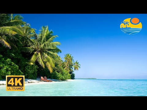 Gorgeous Beach in Maldives | 4K Ultra HD
