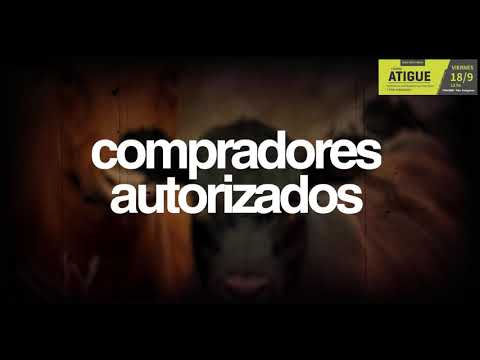 Remate Anual Cabaña Atigue