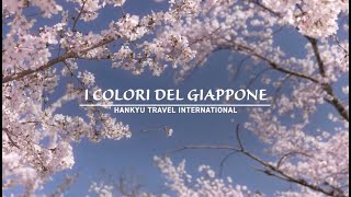 I COLORI DEL GIAPPONE [Promotion Movie] NEW!