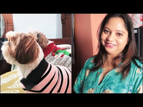 Super fun day with super cute puppies | Enjoying a fun day with my puppies Video