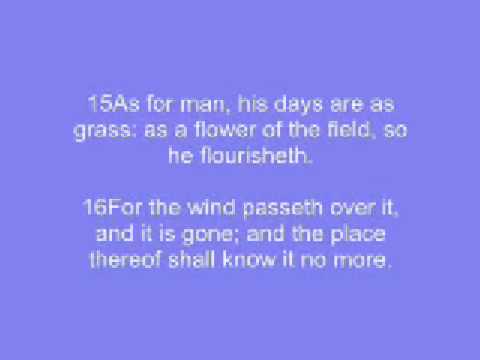 Psalmul 103 - Cautati dreptatea caci dreptatea salveaza de la moarte