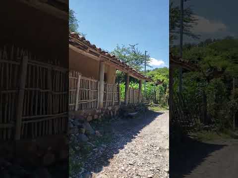 saliendo de Caserío Zafra Santa Rosa de Lima, La Unión Norte, jueves 16 de octubre 2025