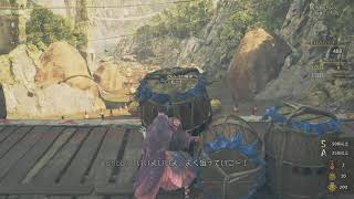 【Monster Hunter Wilds】タルコロチャレンジ【初の✨S✨】