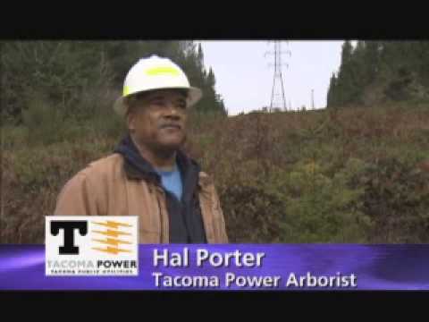 Tree Trimming from a Helicopter