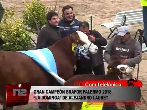GRAN CAMPEÓN BRAFOR PALERMO 2018  “LA DOMINGA” DE ALEJANDRO LAURET