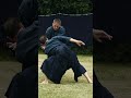 Old Style Japanese Jujutsu in Slow Motion