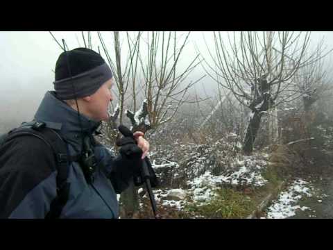 Slancik - Dargov VII