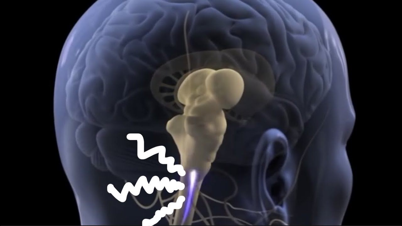 ¿CUÁL ES EL PEOR DOLOR?