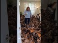 When Your Kid Brings Home 1,000 Dachshunds… FOR FREE 🐶😱