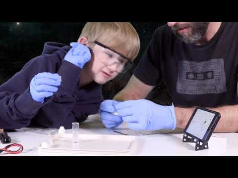 MEL Science Chemistry of Tin: Tin Hedgehog