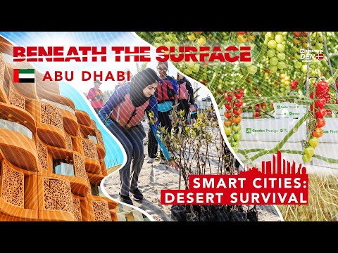 Smart Cities: Desert Survival // BTS Episode #24