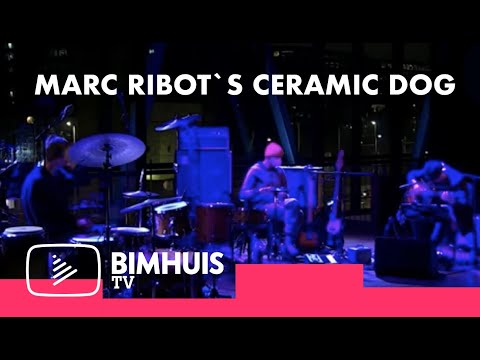 BIMHUIS TV Presents: Ceramic Dog