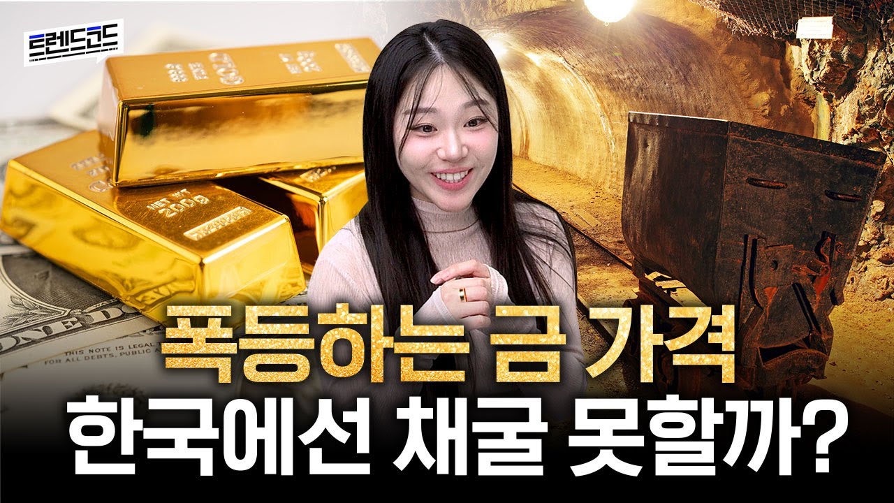 폭등하는 금값에 포모가 와버린 사람들 모임ㅣ팟캐스트 트렌드코드 #45