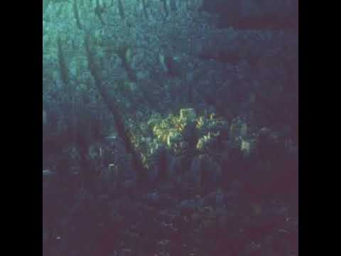 bvdub - Release Me (Full Album)