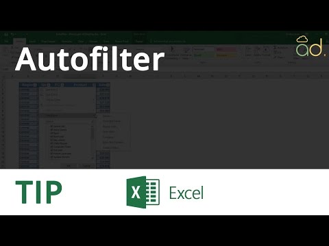 Microsoft Excel - Productivity - Tip 05 - Autofilter