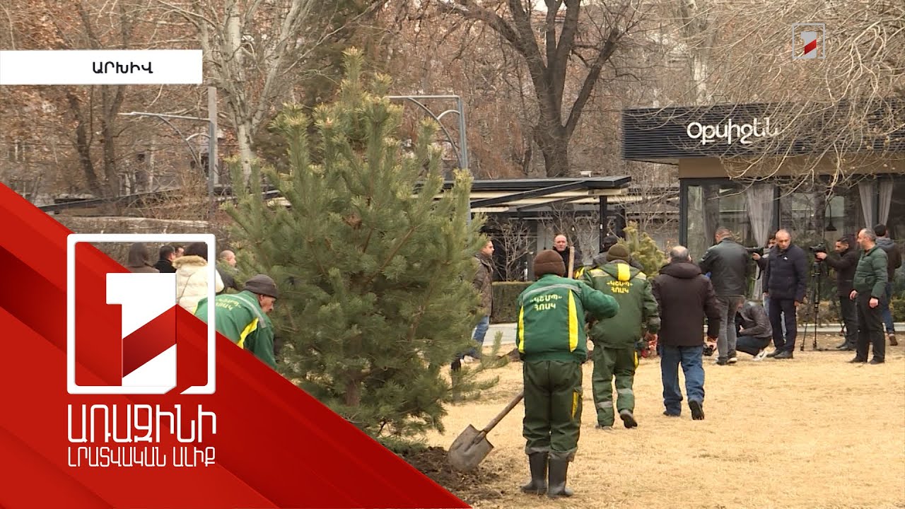 Մայրաքաղաքում շարունակվում են սանիտարական էտը և ձևավորումը