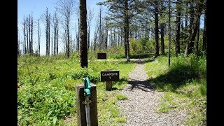 Mount Mitchell State Park Campground Video