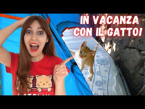 I'M TAKING MY CAT ON HOLIDAY! *Fluffy's camping!*