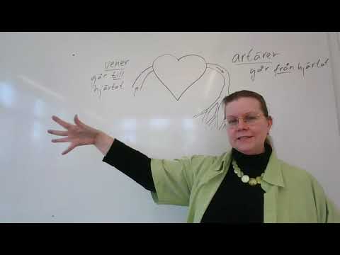 Trift Kroppen: hjärta och blodomlopp åk 8