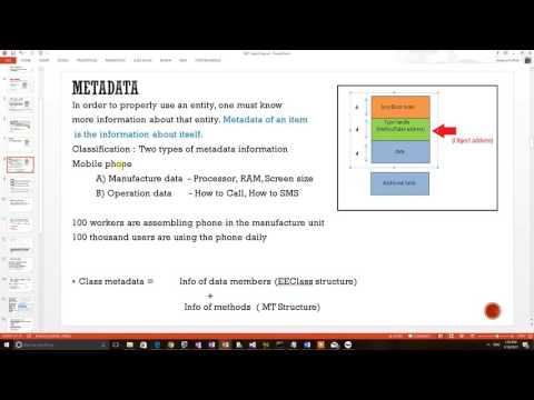 Net Internals