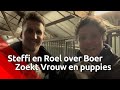 Een logeerpartij krijg je niet voor niets: kandidaten Boer Zoekt Vrouw halen alles uit de kast