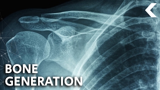 We Can Now Grow Human Bones From Stem Cells!