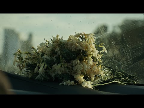 odd mami - general paz