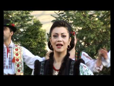 Doina Arsene Frunza verde paltinas